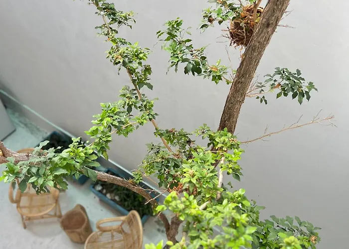 Treehaus 38 Moulmein By Ssl - Pulau Tikus Georgetown