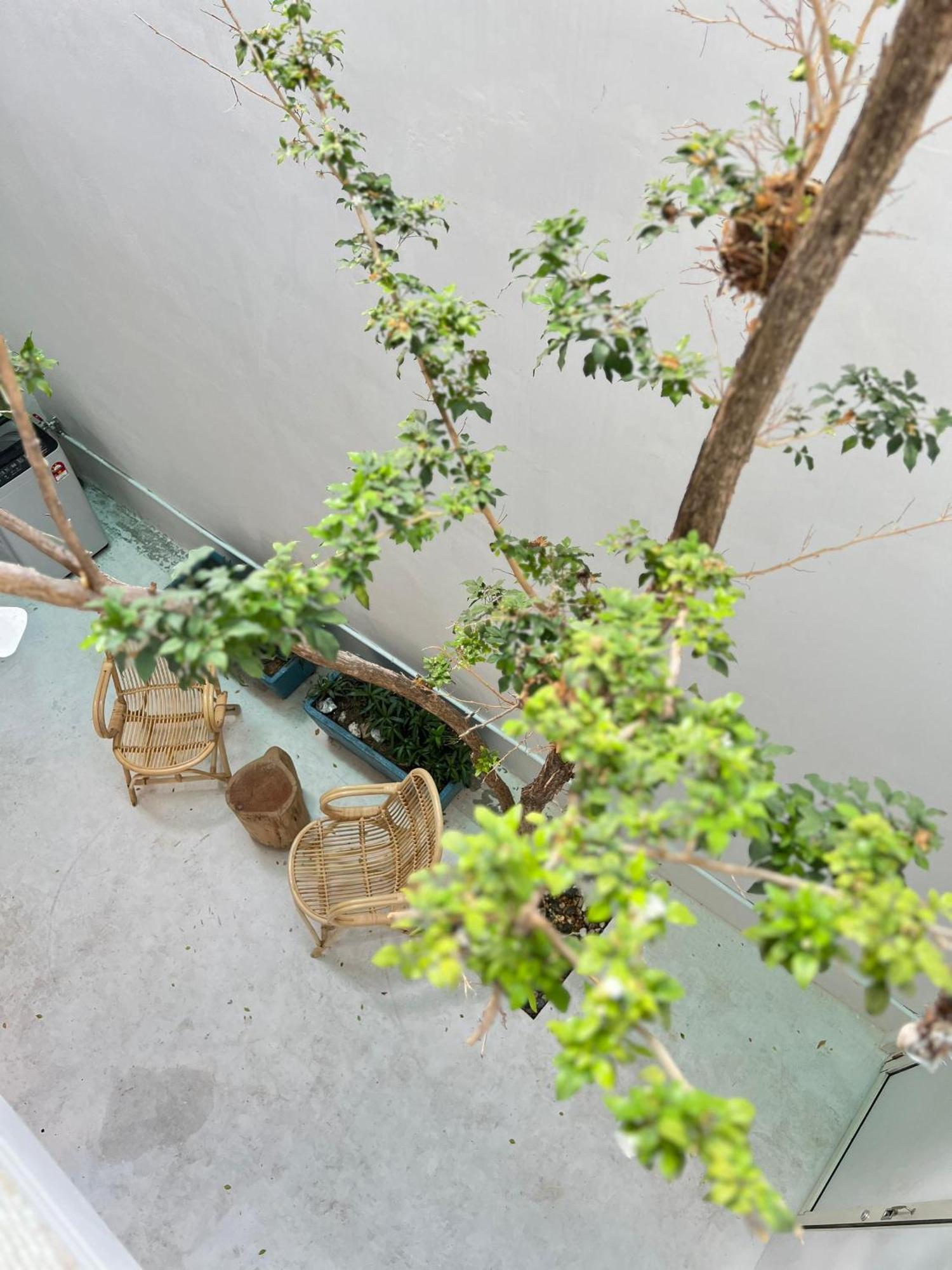 Treehaus 38 Moulmein By Ssl - Pulau Tikus * Georgetown